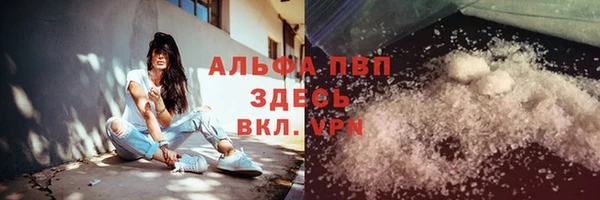 индика Бронницы