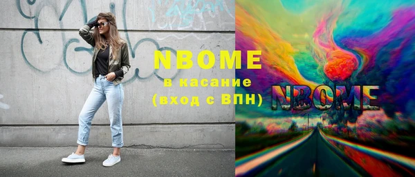 индика Бронницы