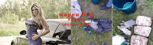 индика Бронницы