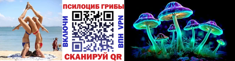 Псилоцибиновые грибы Cubensis Жуков